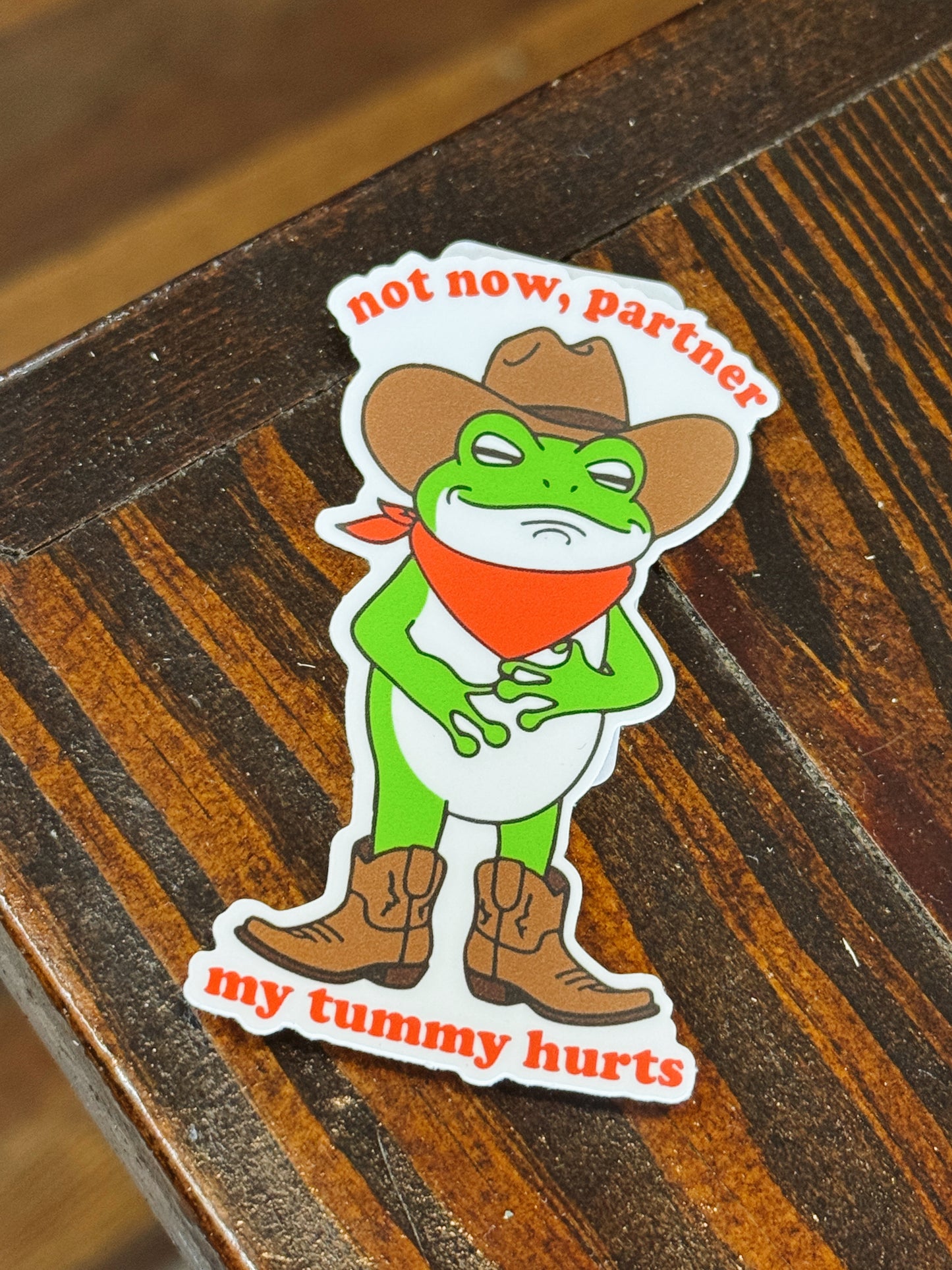 Not Now Partner My Tummy Hurts Sticker