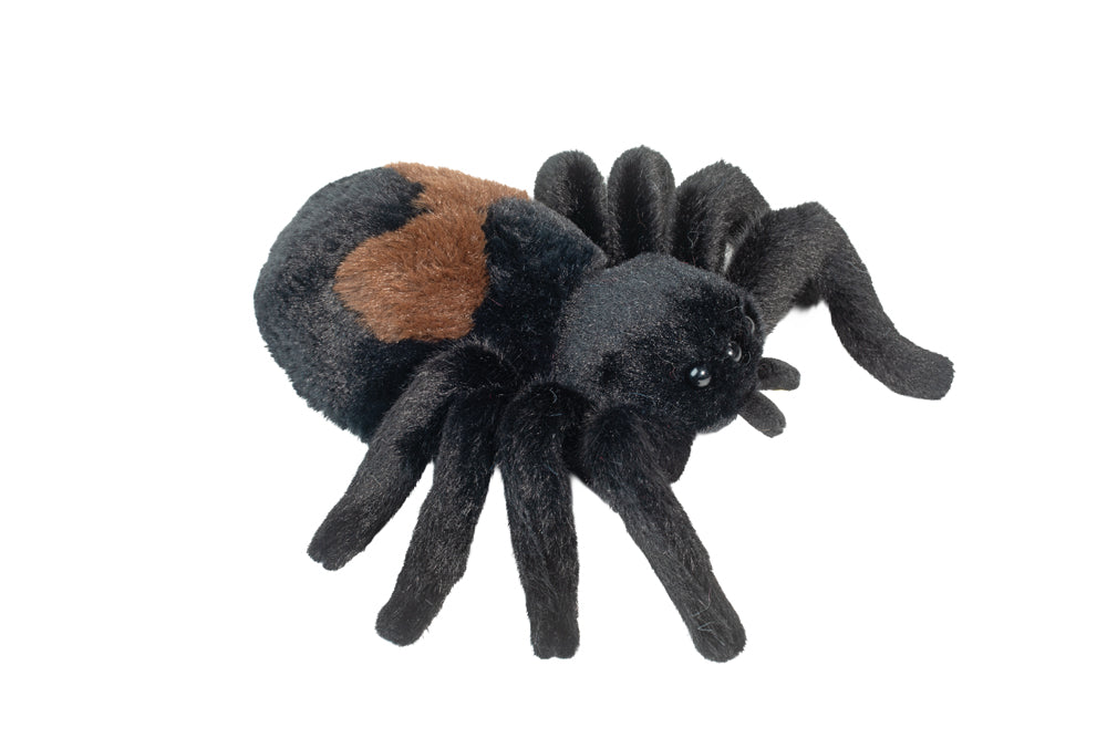 Sneakie The Spider