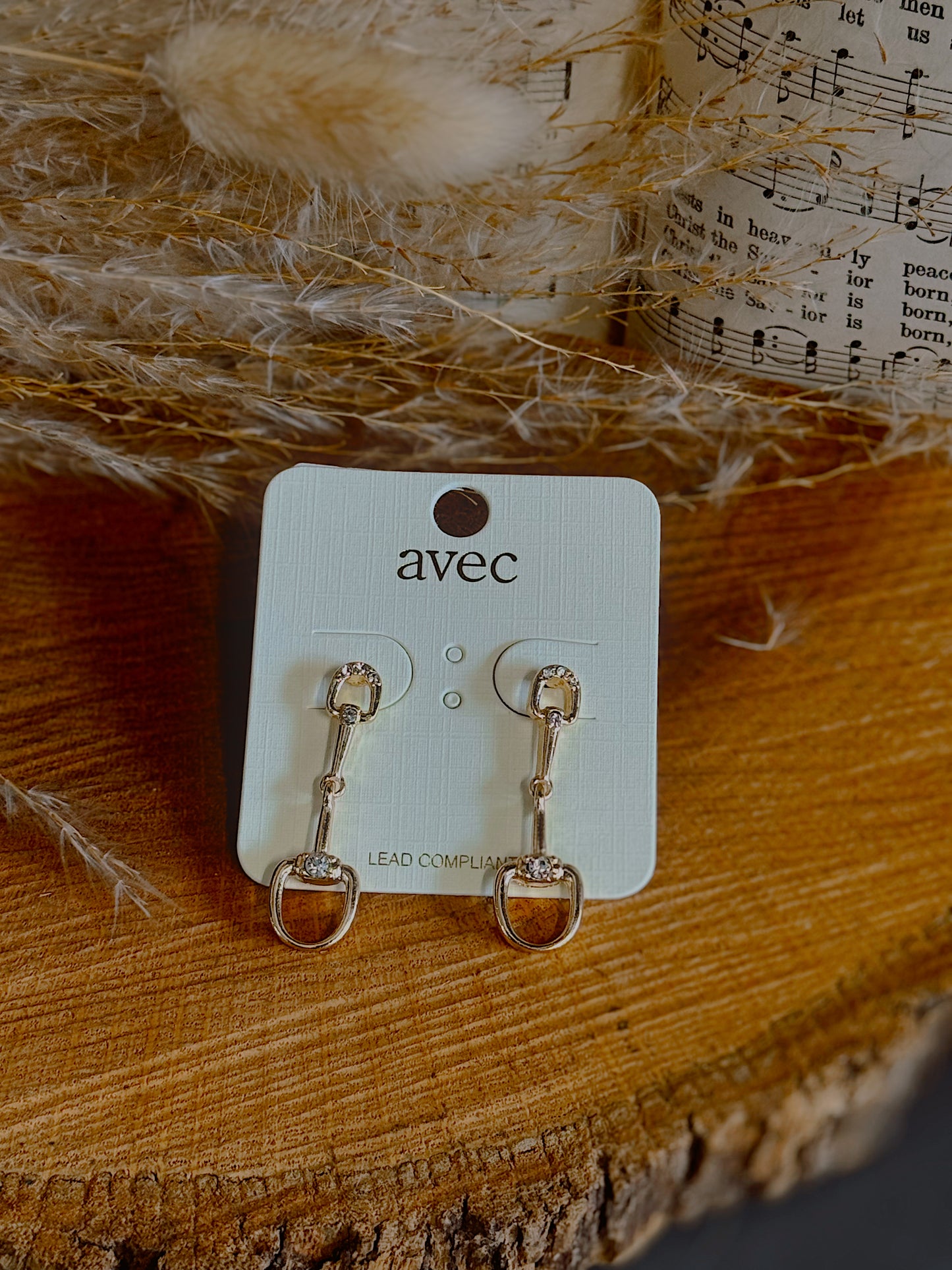 Ranch Glam Earrings