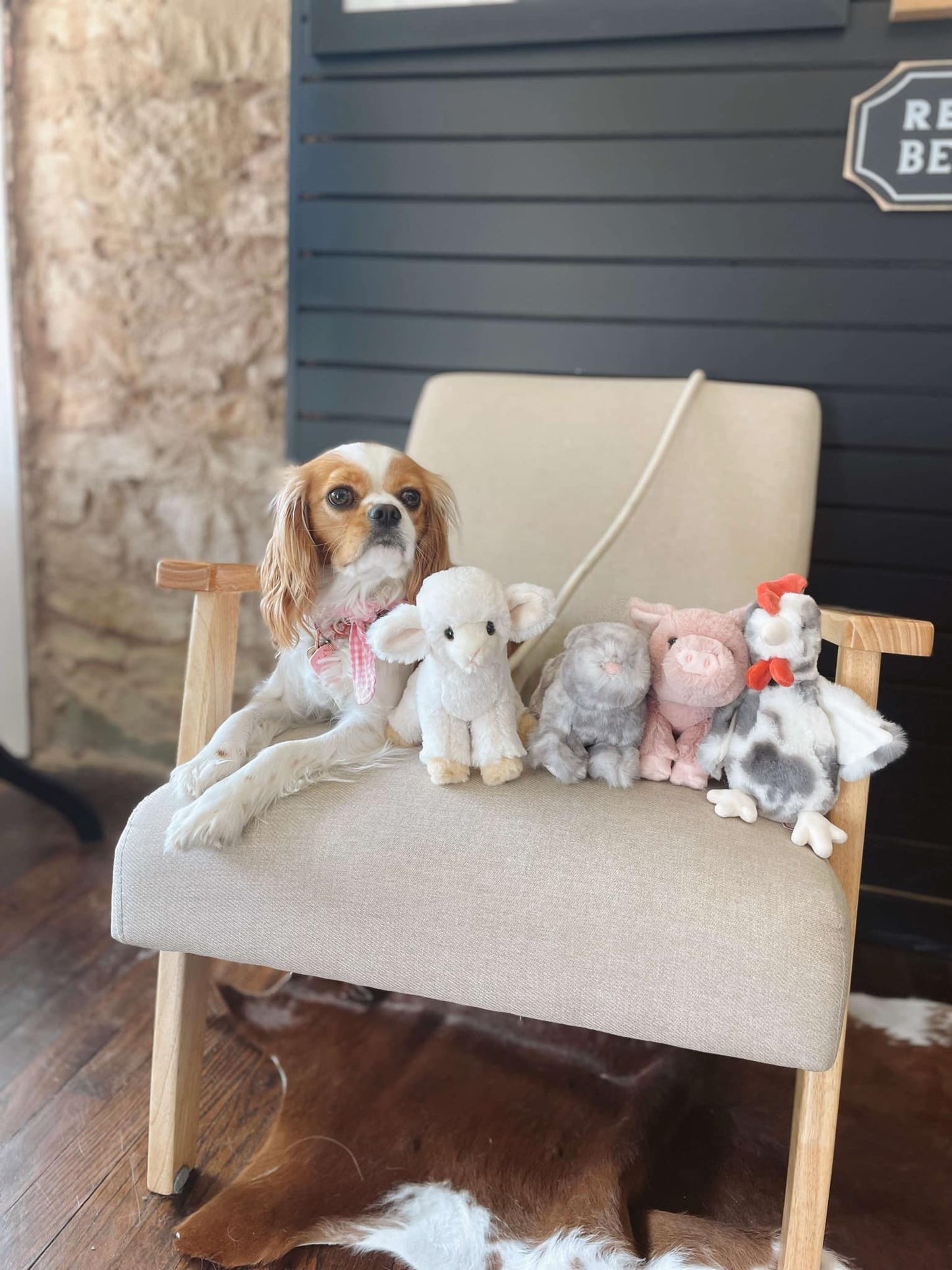 Rockie Spotted Rooster Stuffed Animal