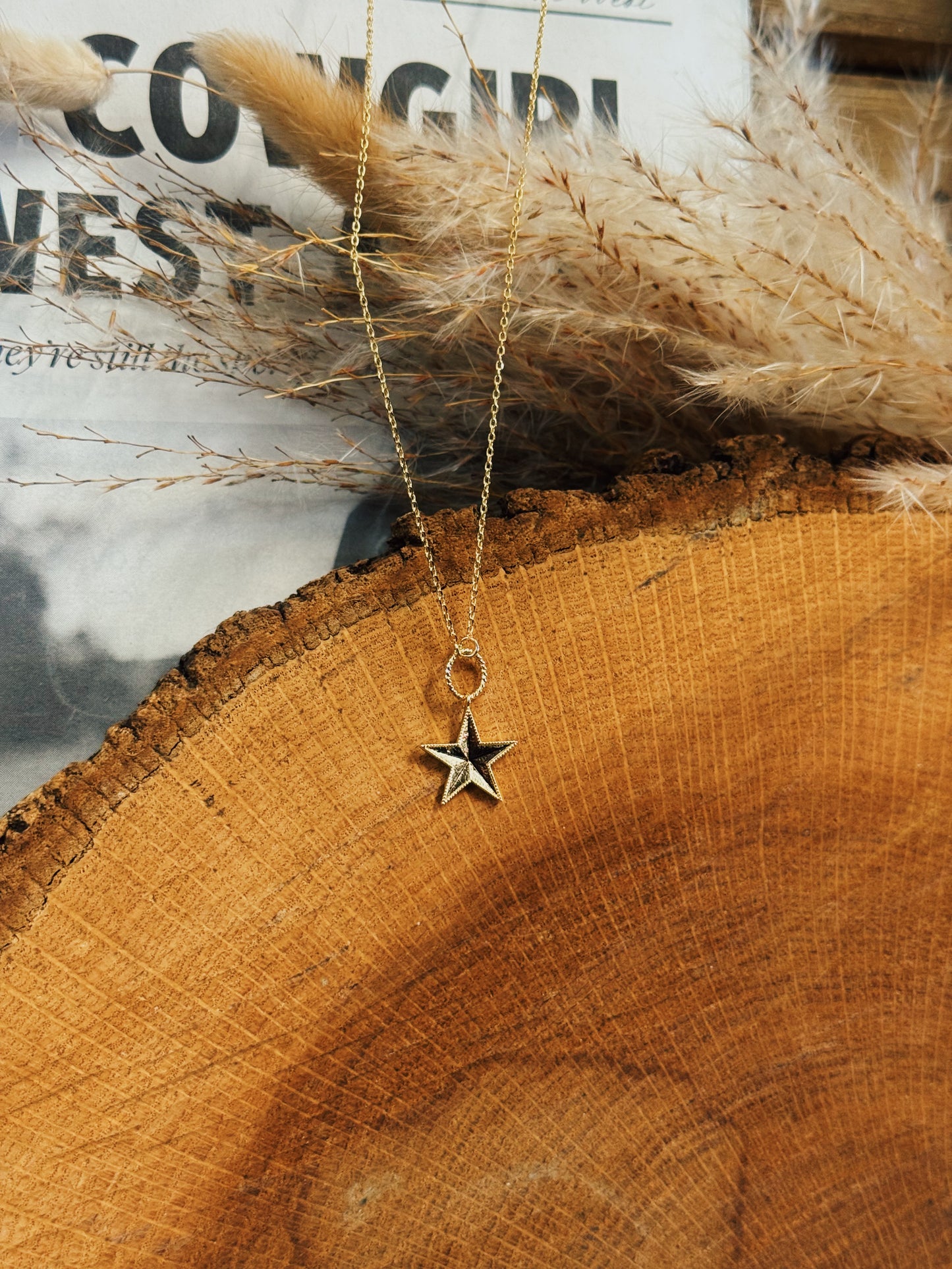 The Dainty Star Necklace