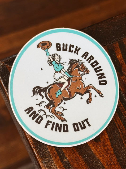 Buck Around and Find Out Sticker Decal