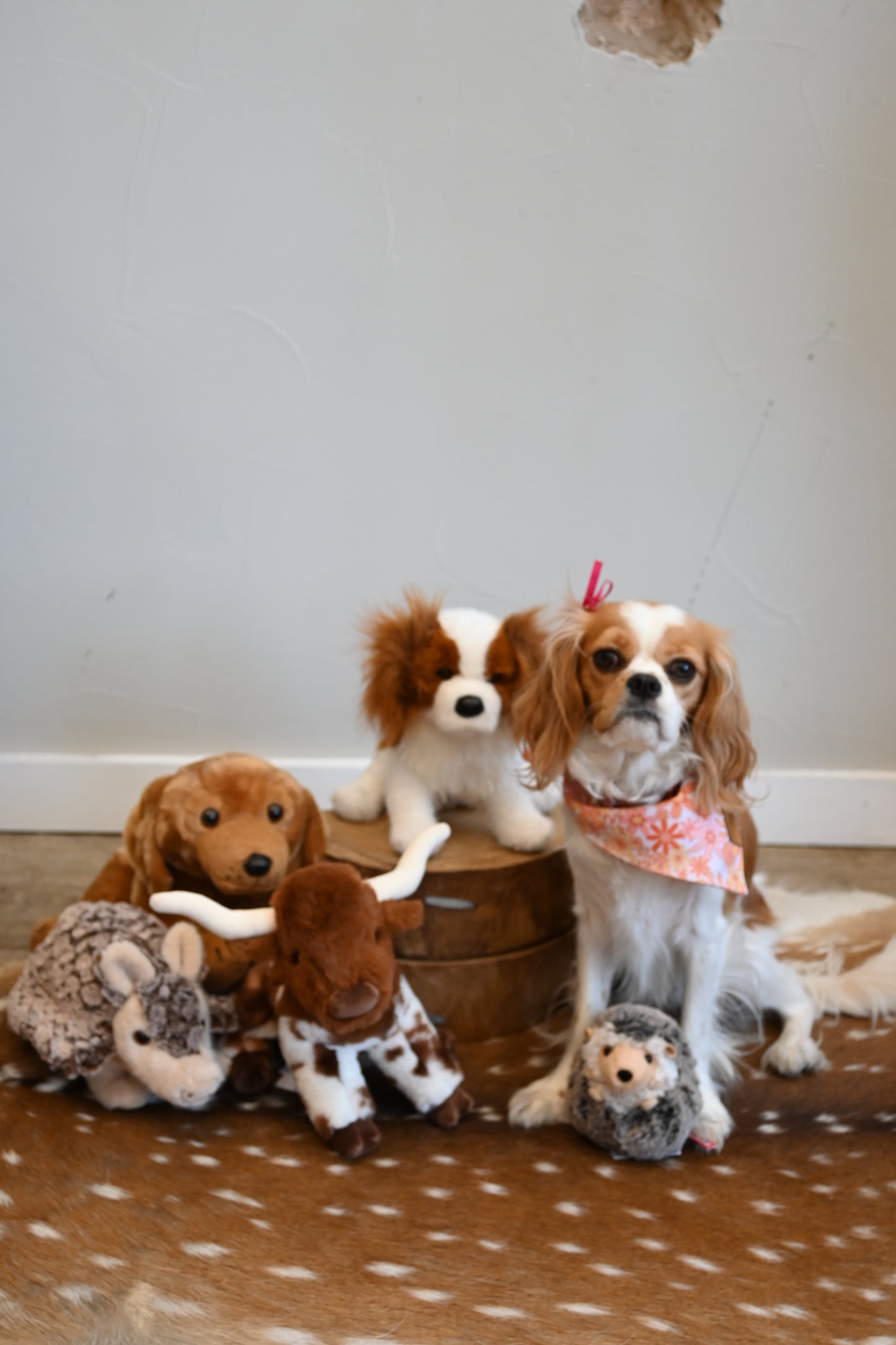 Bixbie The Longhorn Stuffed Animal
