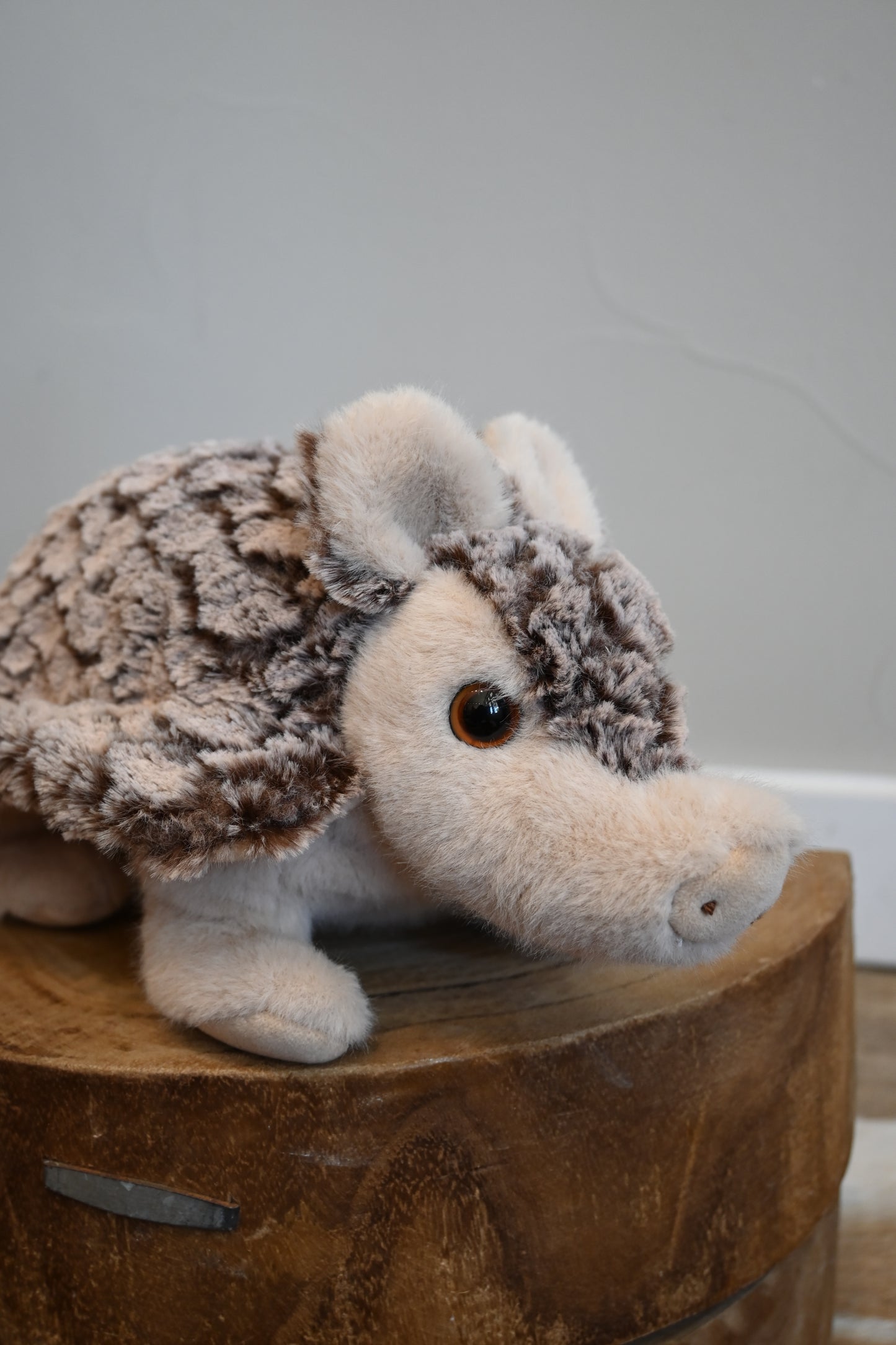 Austin The Armadillo Stuffed Animal