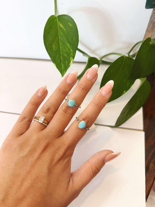 Hand wearing two turquoise stone rings with a plant in the background