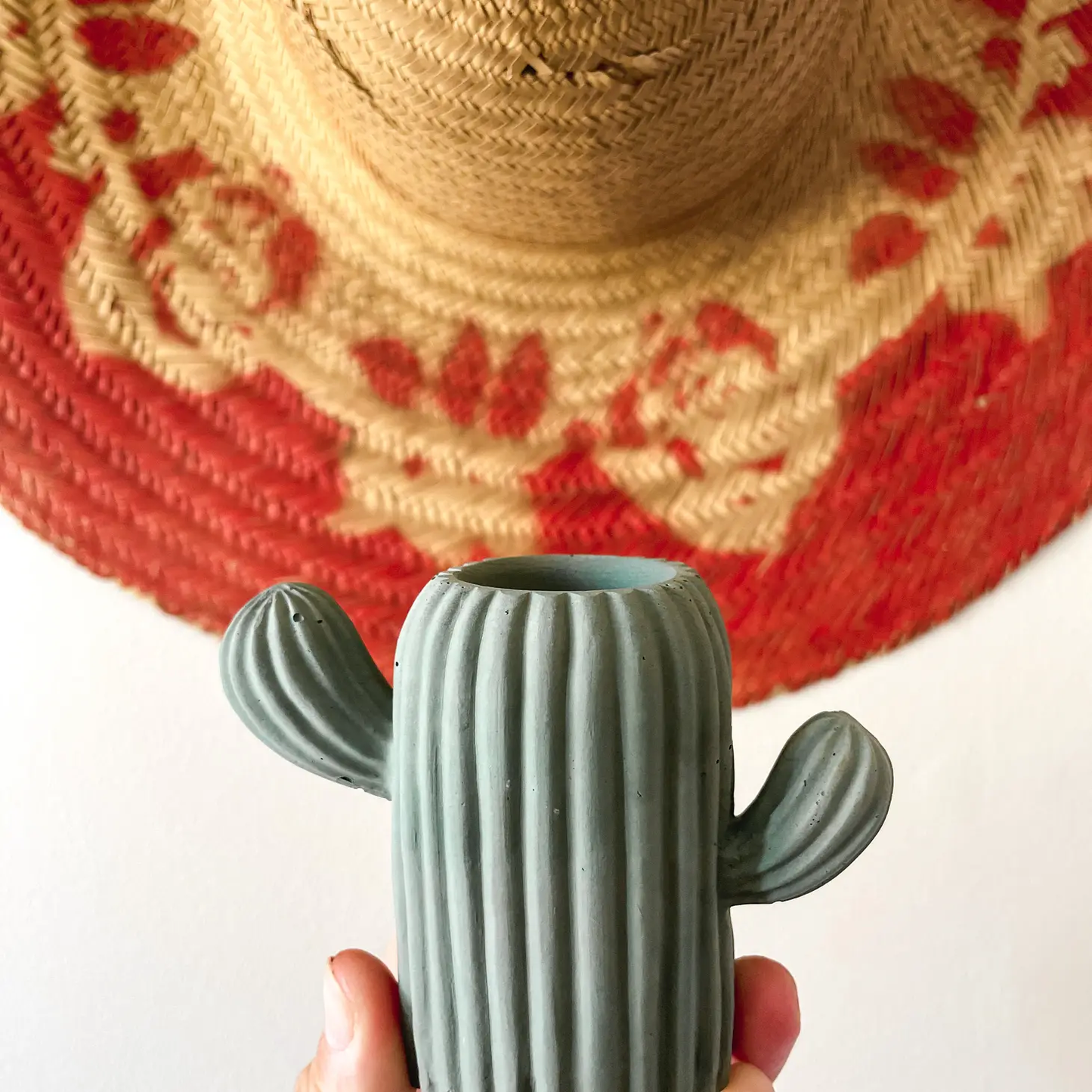 Cactus Plant Holder