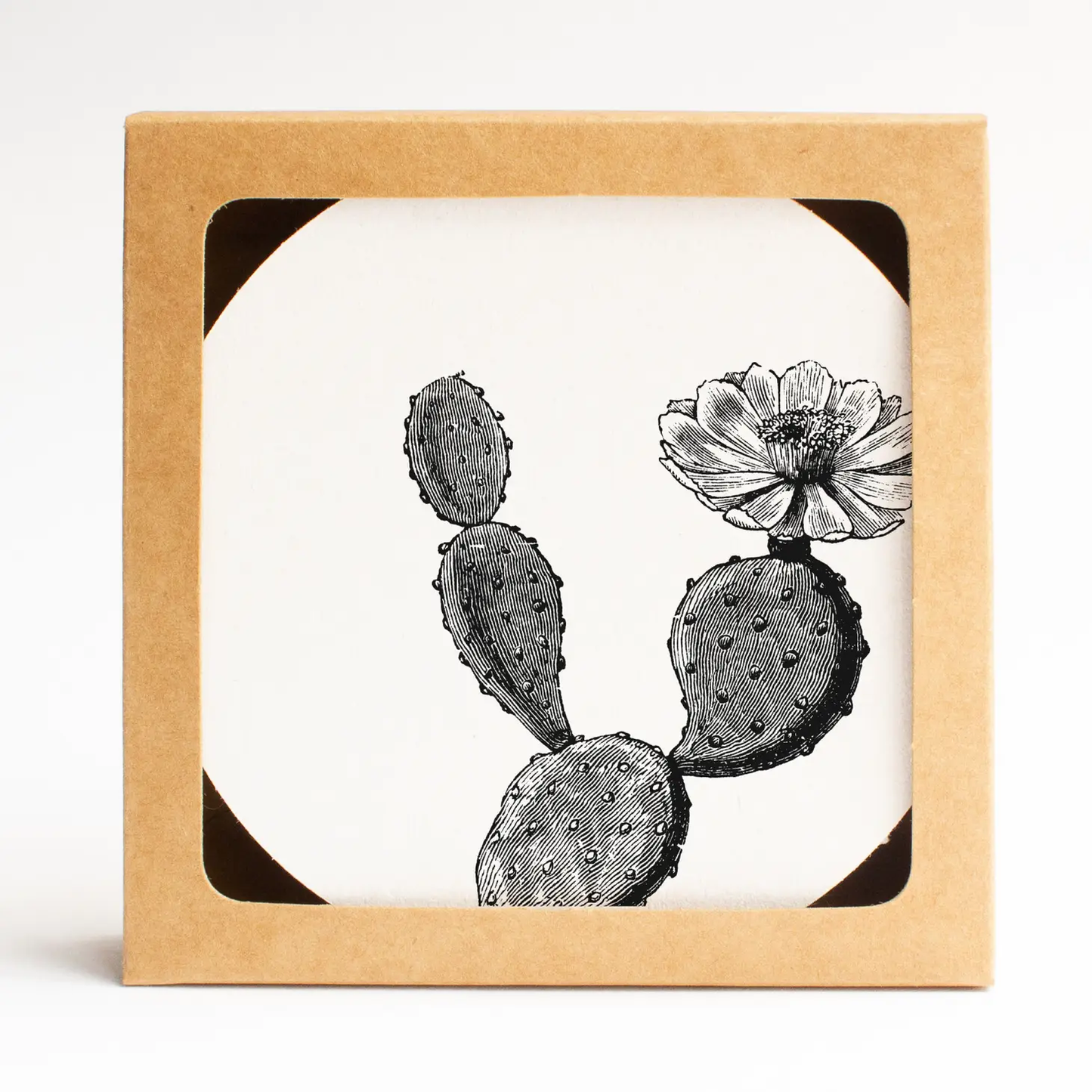 Prickly Pear Coaster