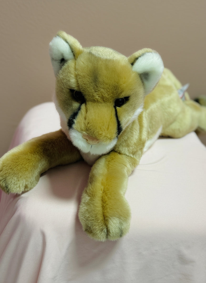 Kelso The Mountain Lion