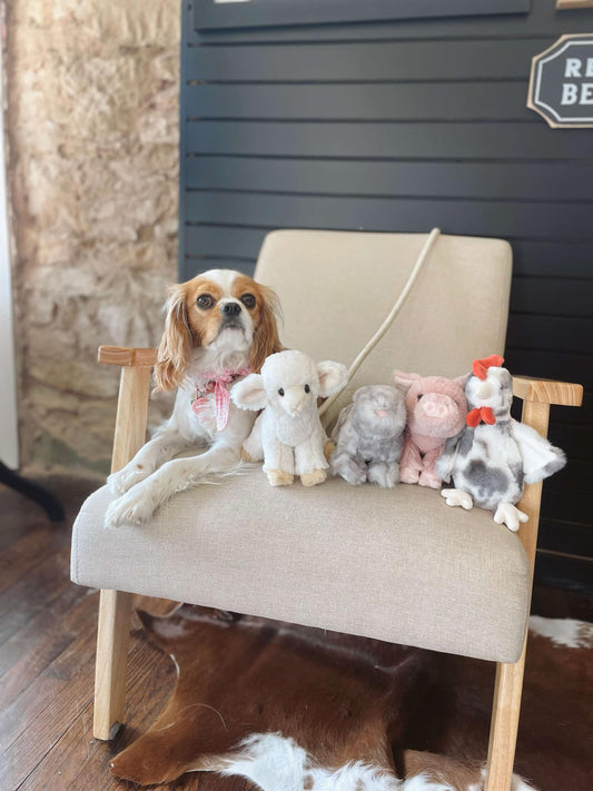 Rockie Spotted Rooster Stuffed Animal