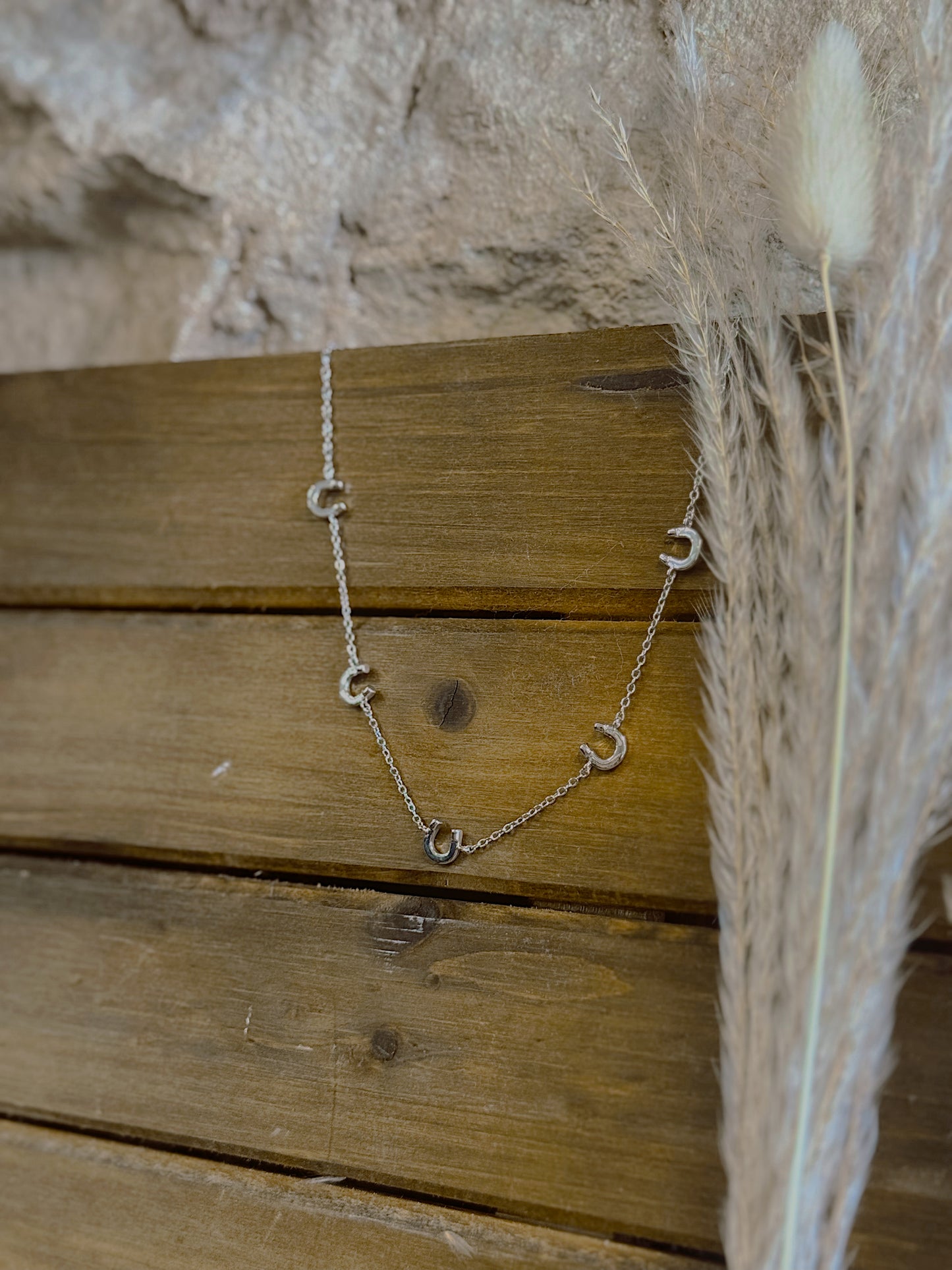 Lucky Moments Horseshoe Necklace
