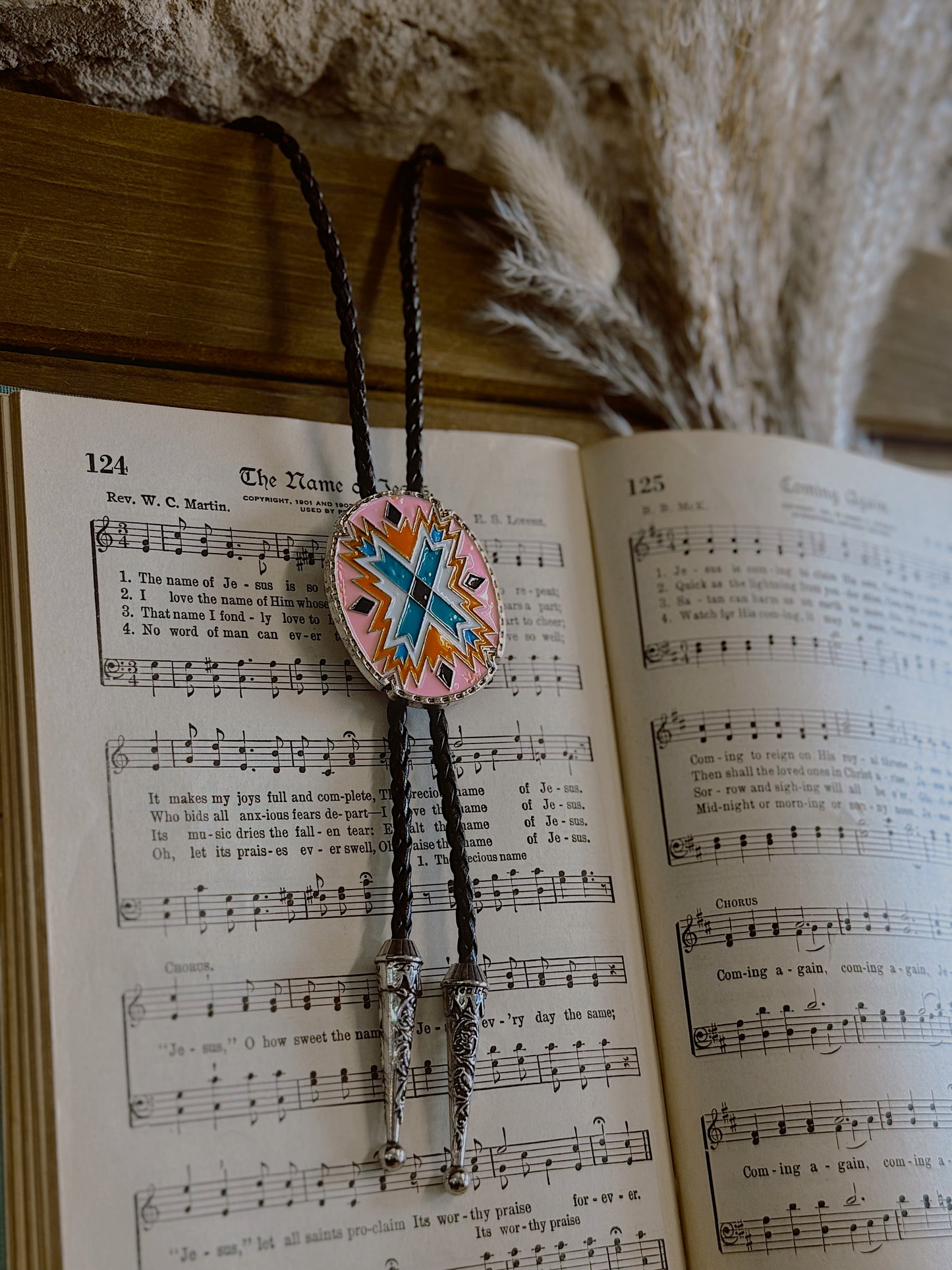 Southwestern Edge Bolo Necklace
