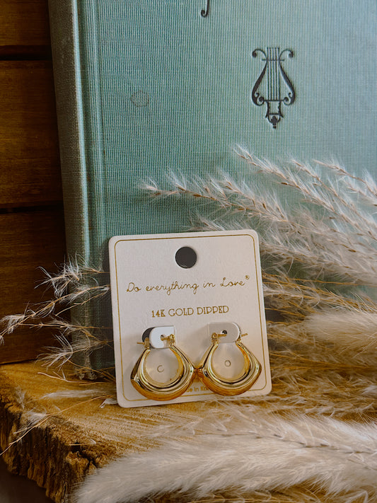 Golden Aura 14k Earrings