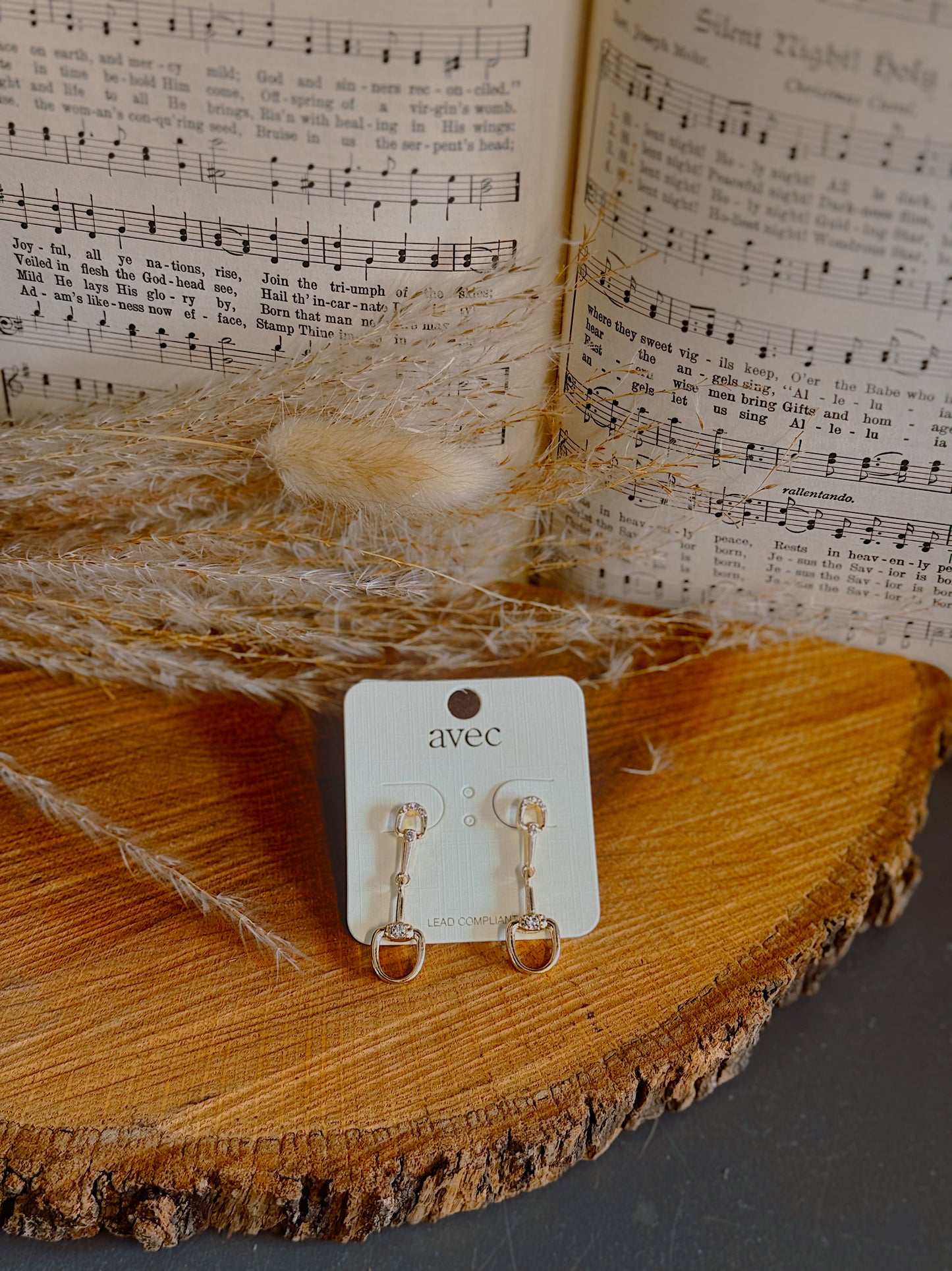 Ranch Glam Earrings