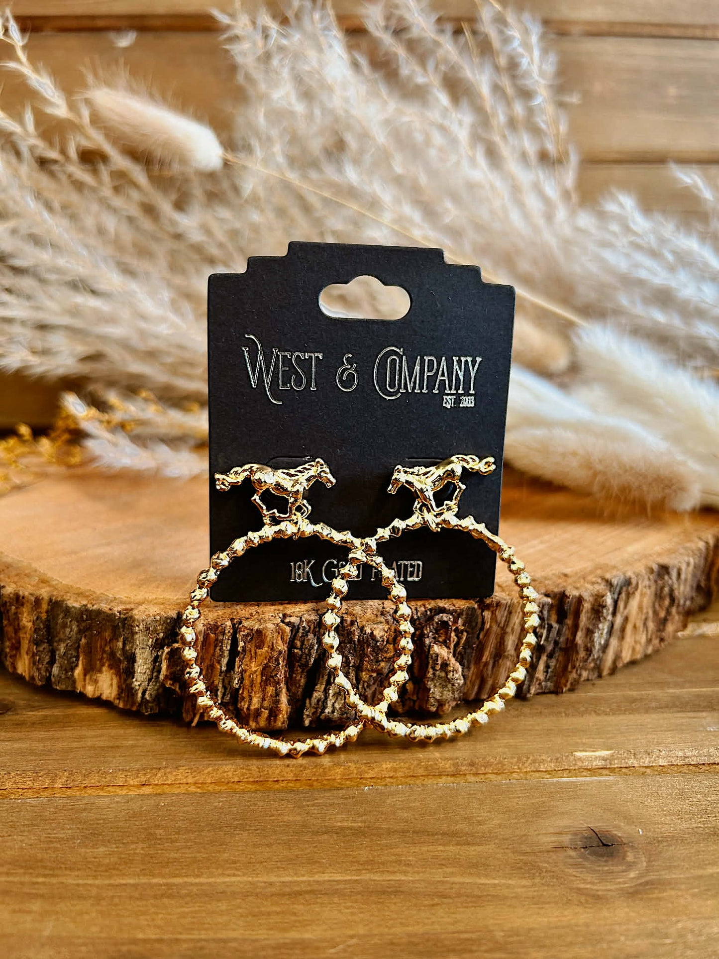 The Rodeo Dangle Hoops