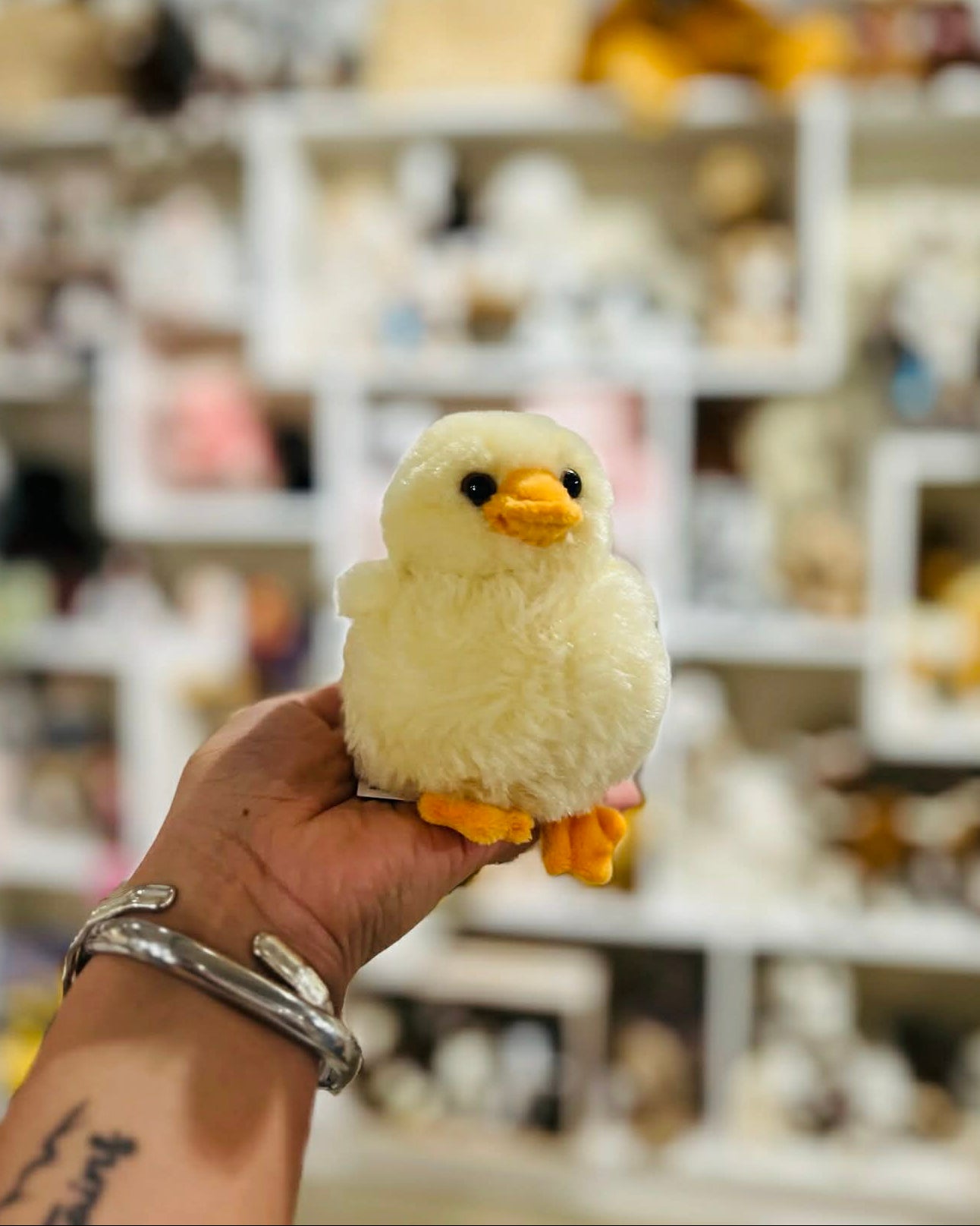 Baby Chick Stuffed Animal