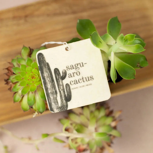 Saguaro Cactus Car Freshener