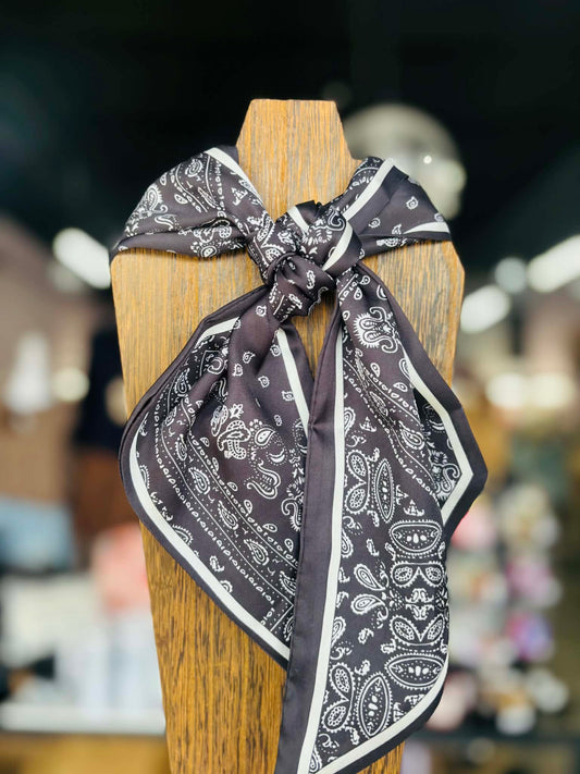 Western Paisley Bandana Print Twilly Scarf