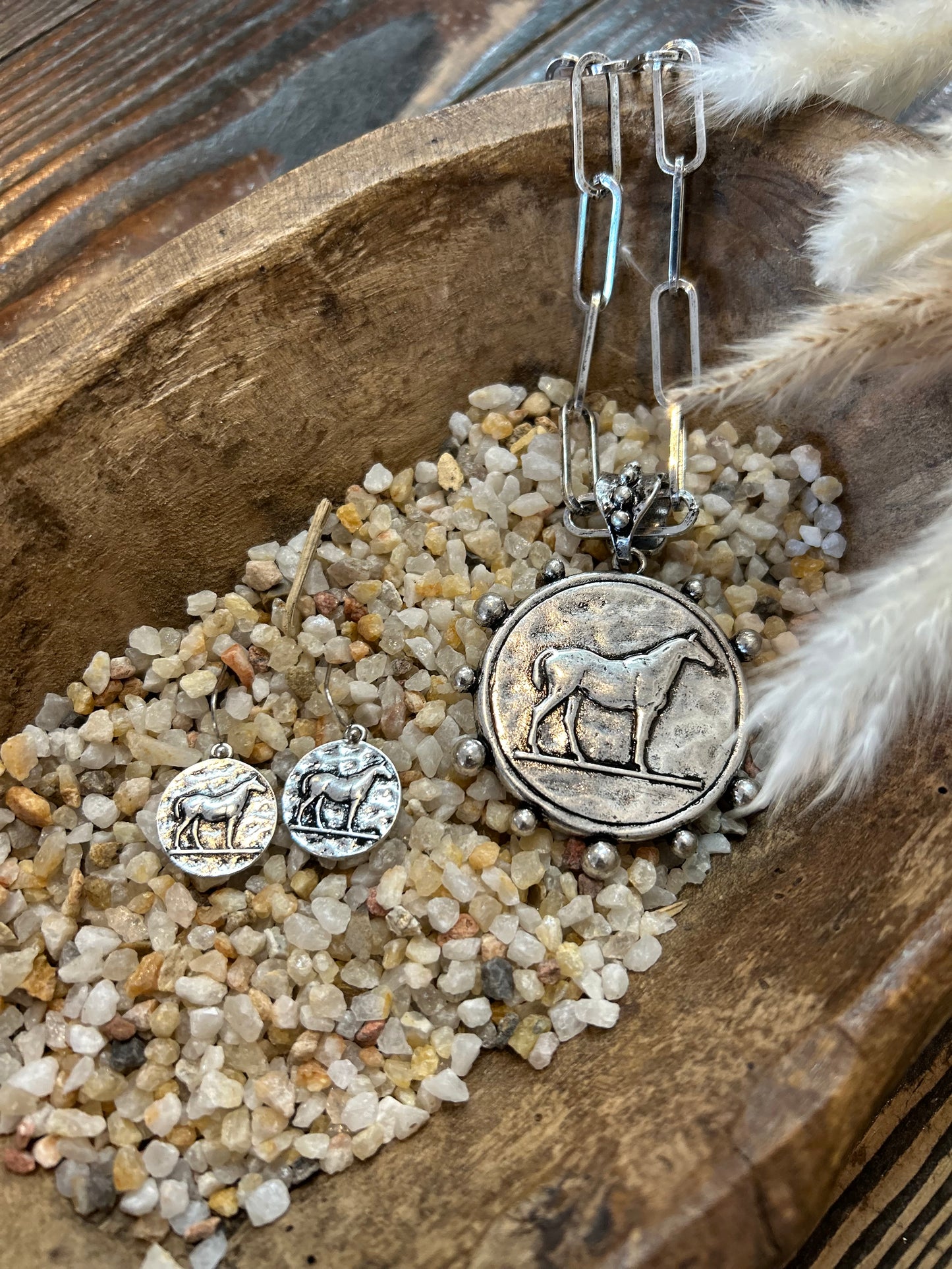 Western Horse Coin Necklace Set