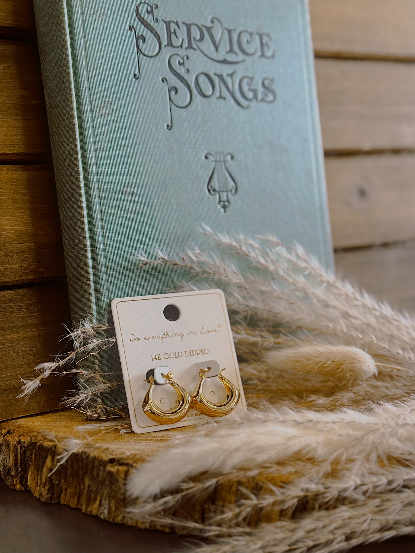 Golden Aura 14k Earrings