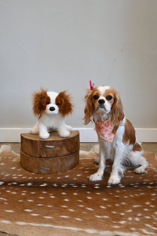 Winnie the King Charles Cavalier Stuffed Animal