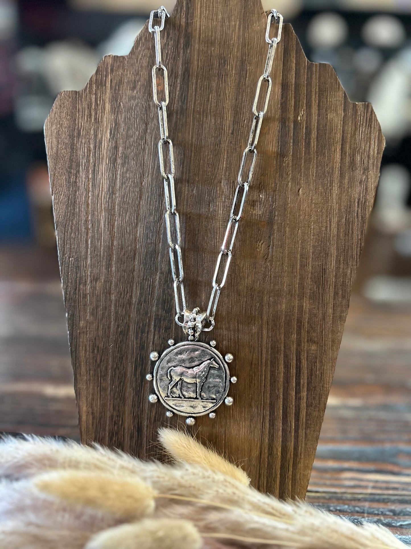Western Horse Coin Necklace Set