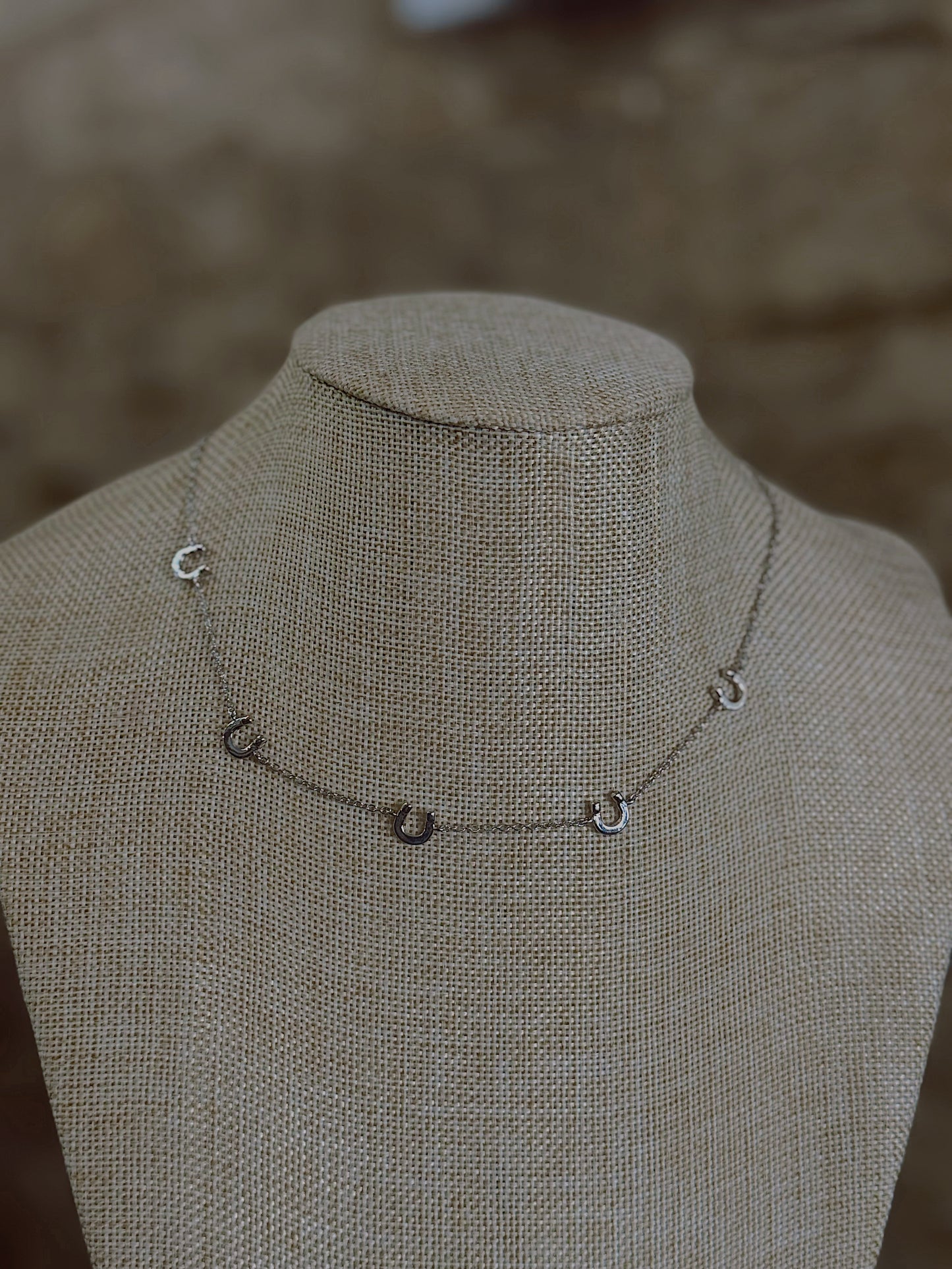 Lucky Moments Horseshoe Necklace