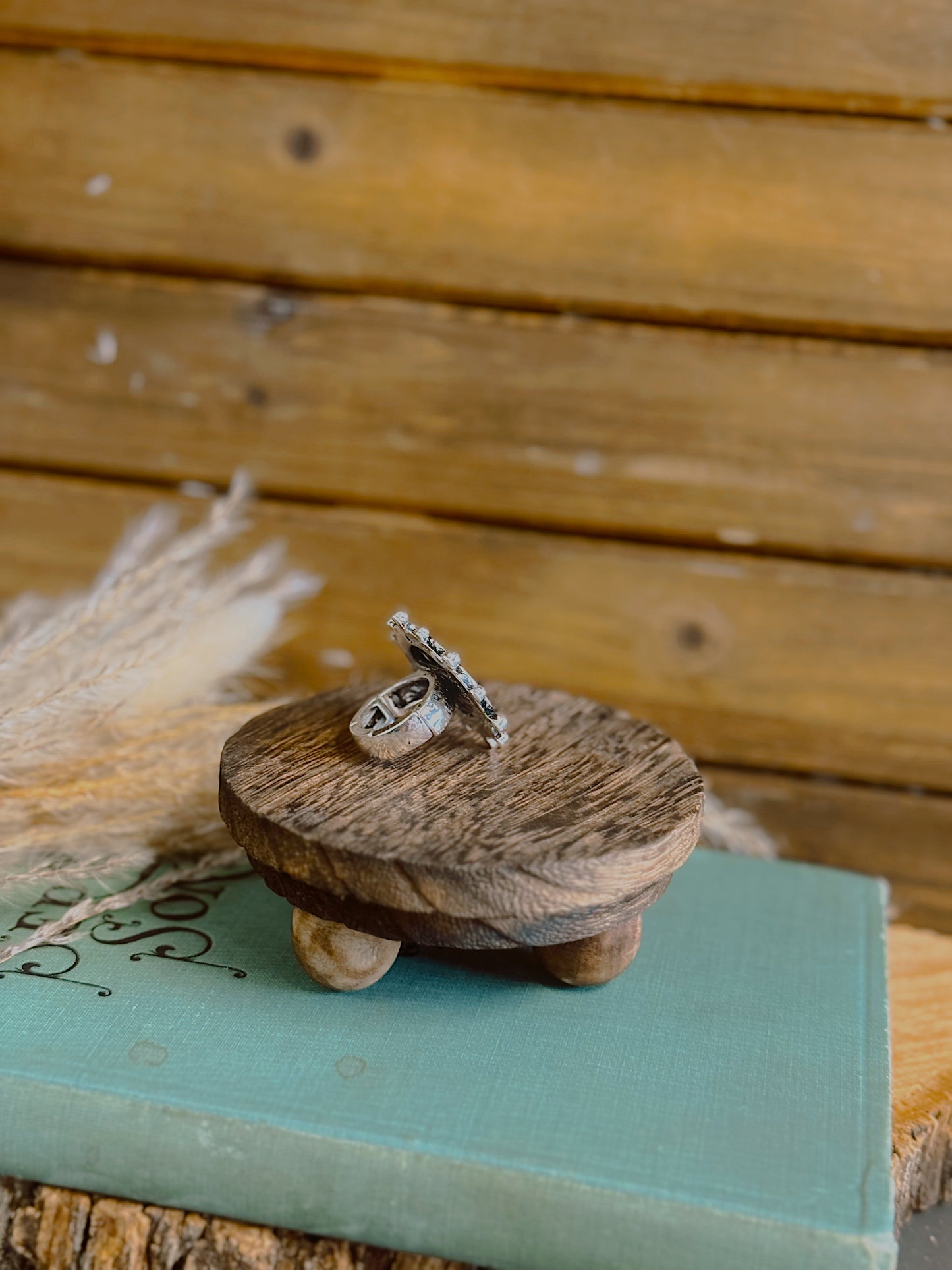 Western Horse Coin Ring
