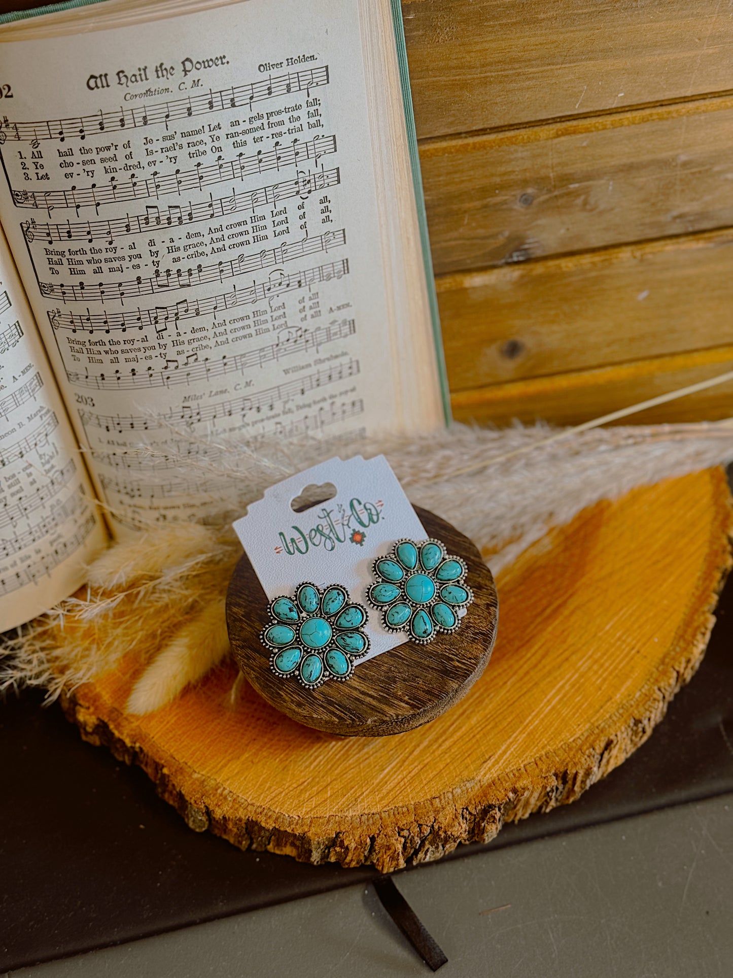 Desert Daisy Earrings