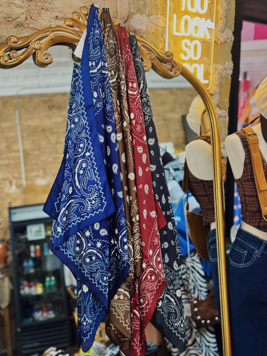 Retro Charm Paisley Scarf