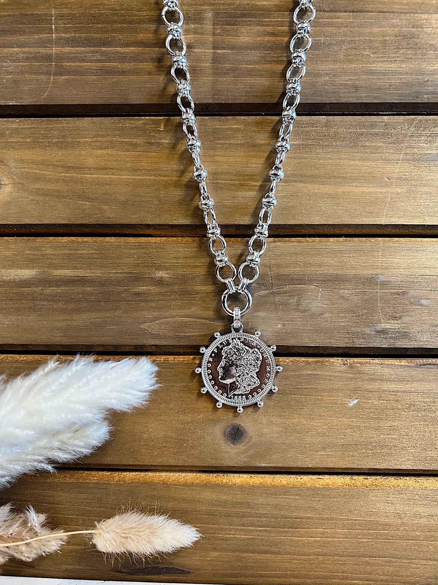 Silver Lining Coin Necklace