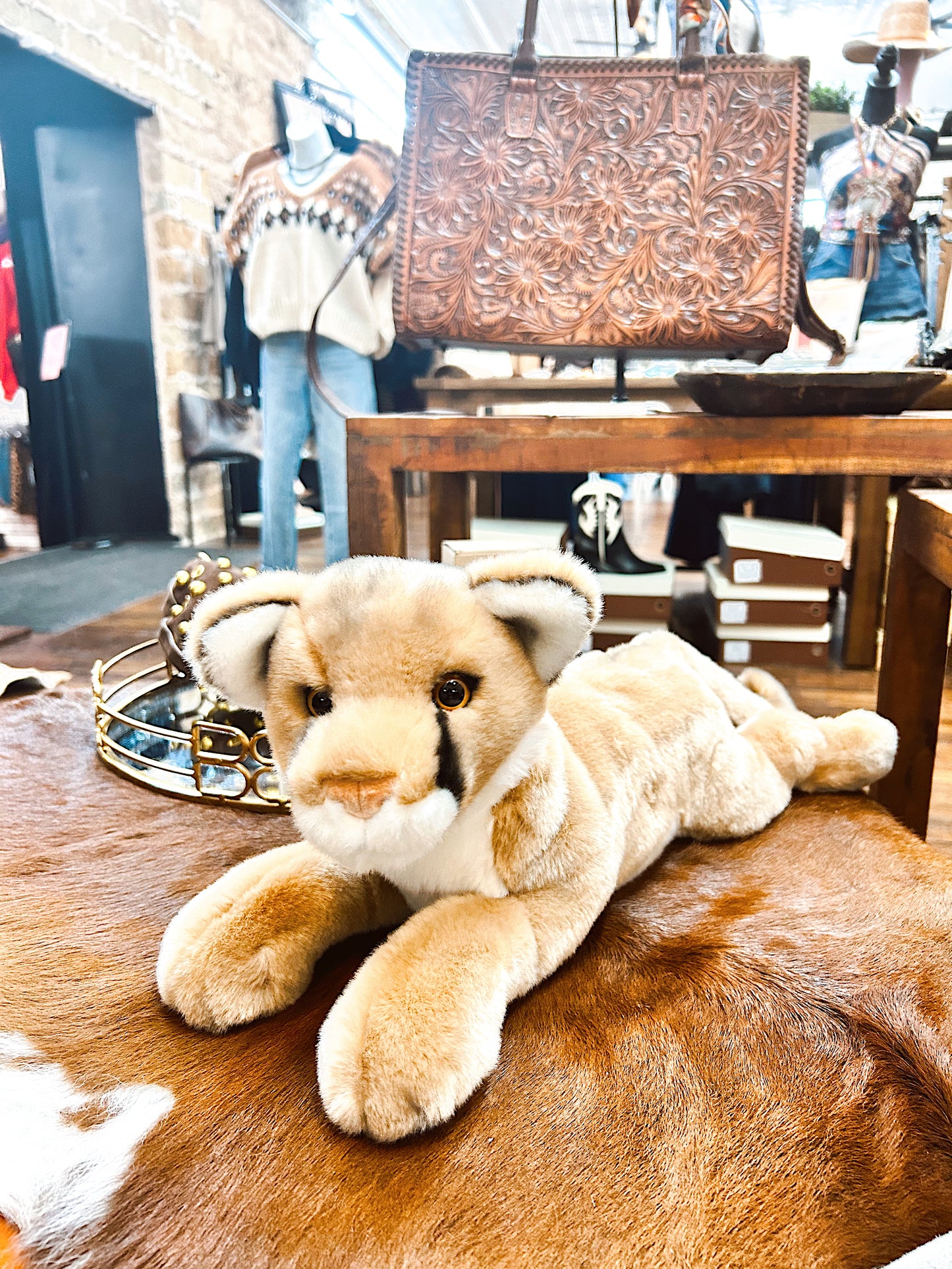 Kelso The Mountain Lion
