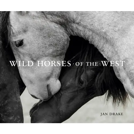 Wild Horses Coffee Table Book