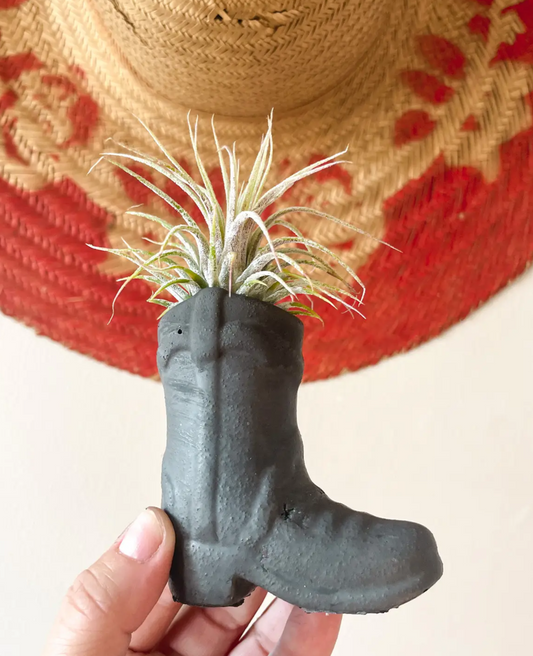 Boot Scootin Plant Holder